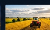 Exploitation agricole et bâtiments de stockage